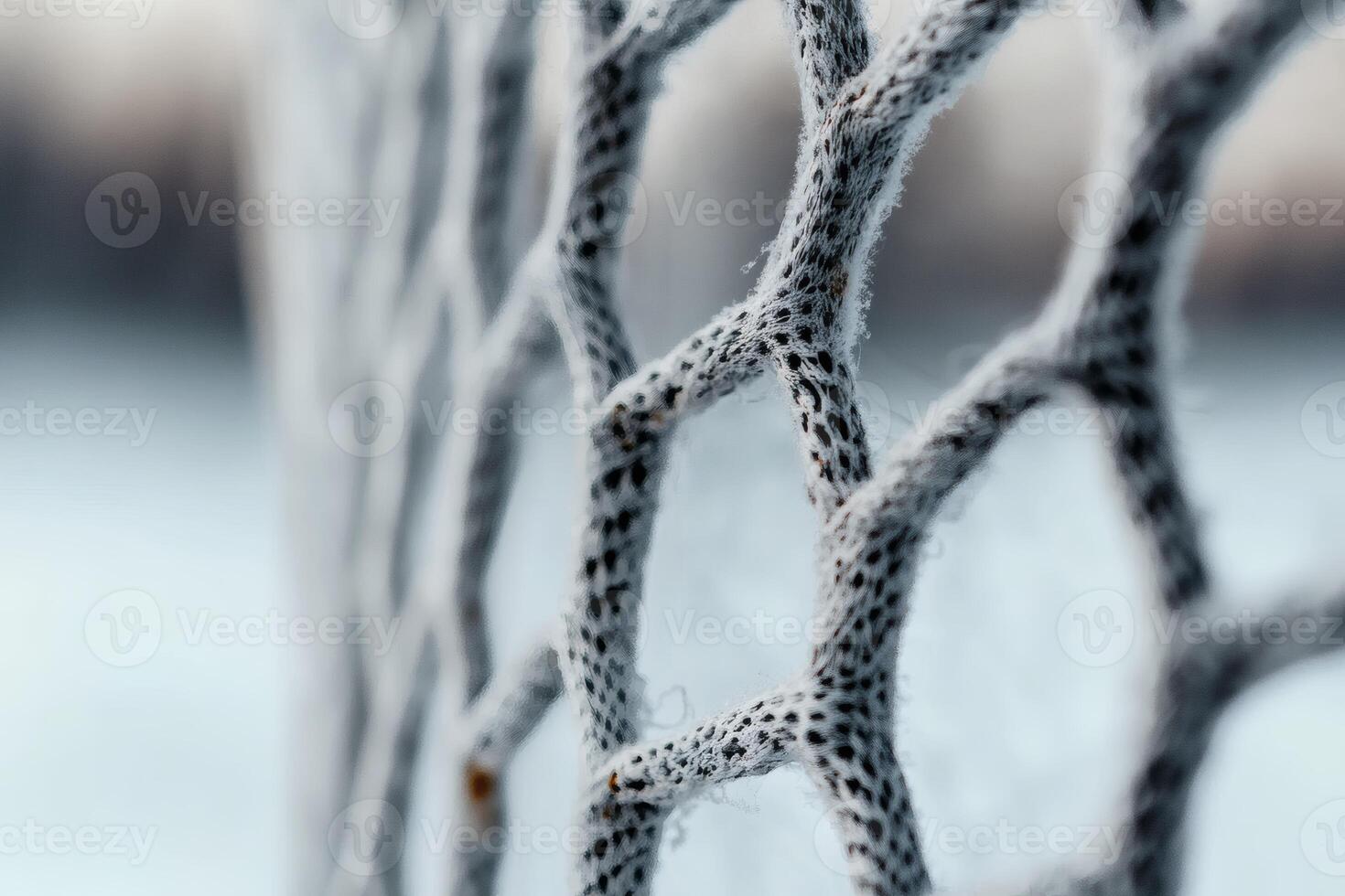 Detailed texture captures sports netting in natural light. photo