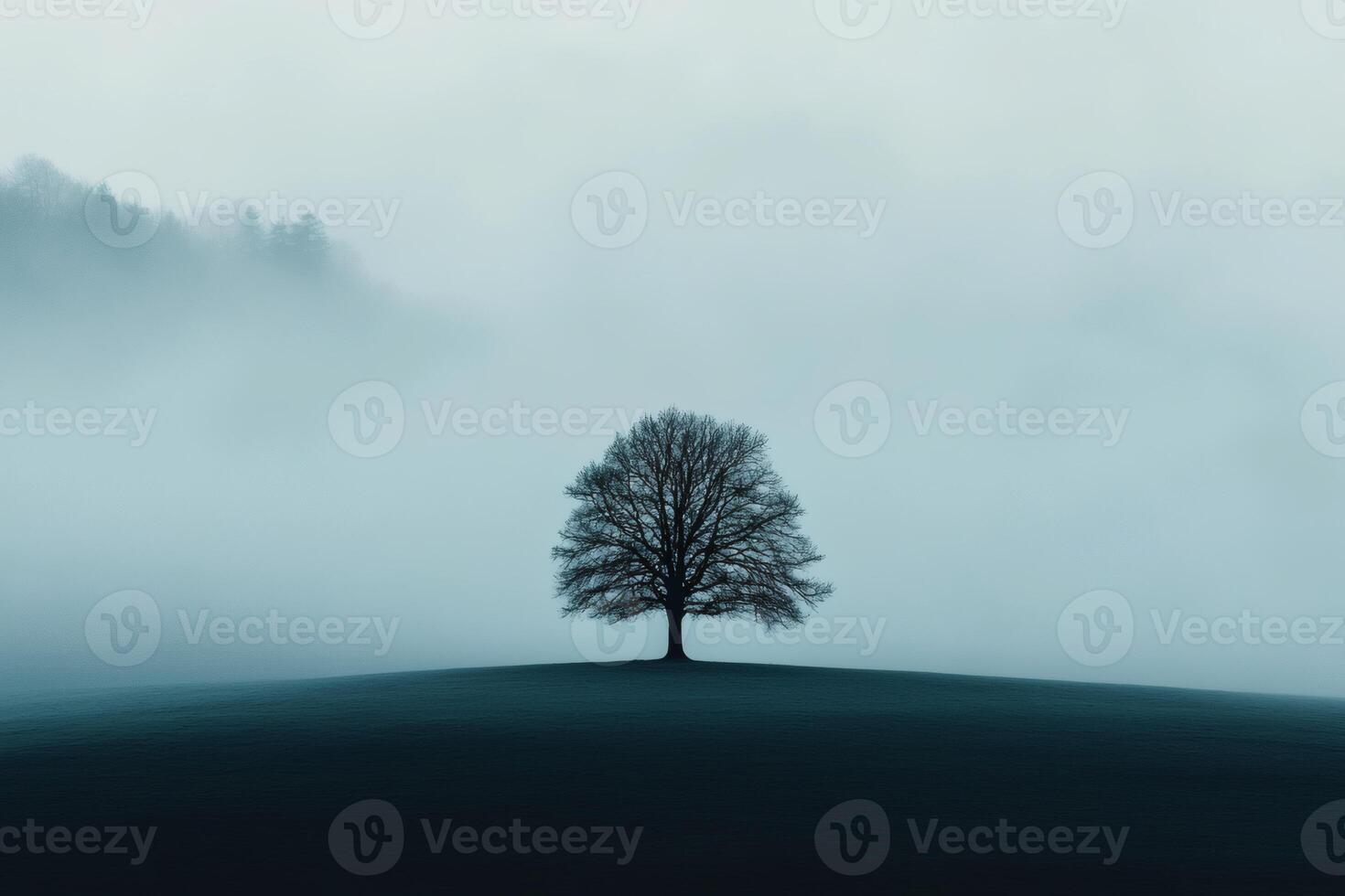 Mystical solitude of a lone tree in foggy landscape. photo