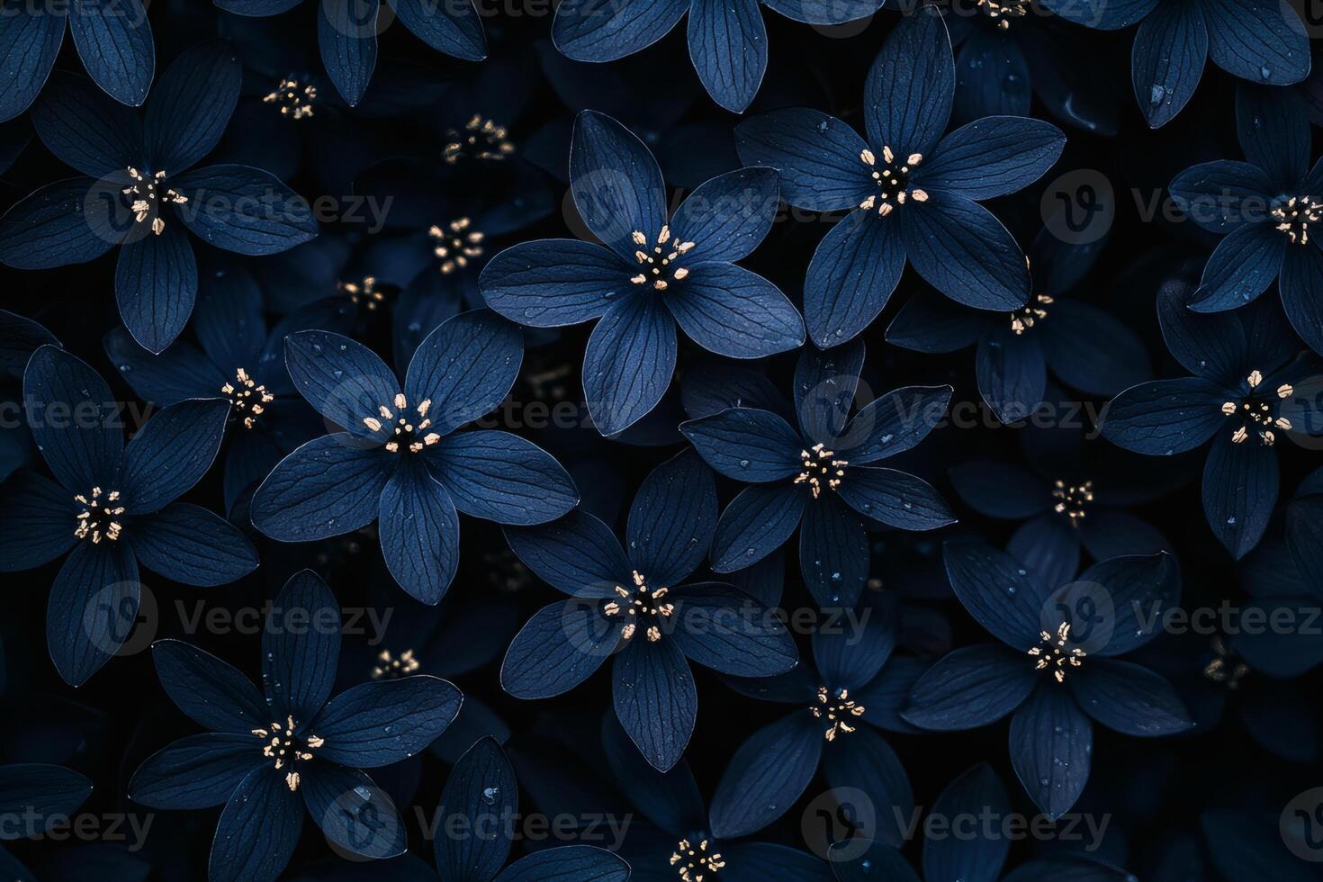 Blooming indigo flowers under a twilight sky. photo