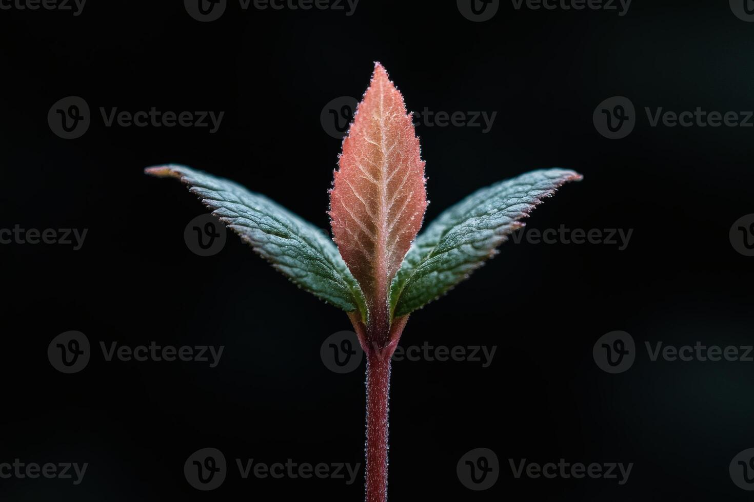 New growth emerges from the earth in vibrant colors. photo