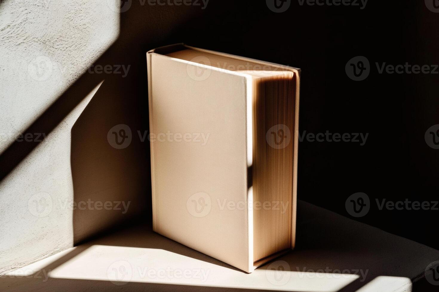 Light dances on a book in a quiet corner. photo