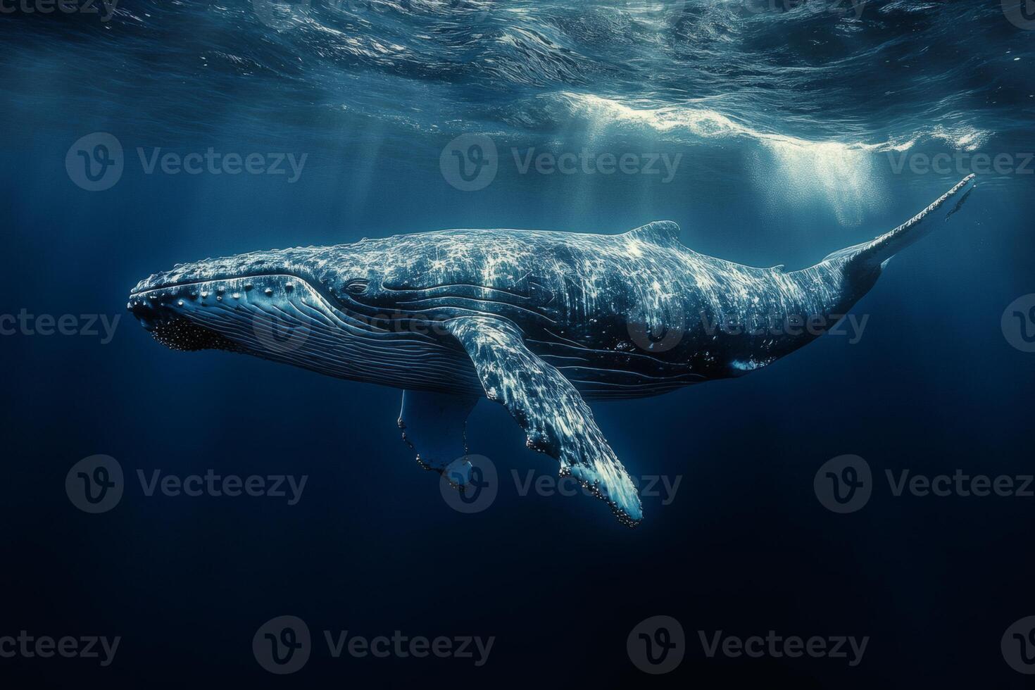 Majestic humpback whale gliding through deep ocean waters. photo