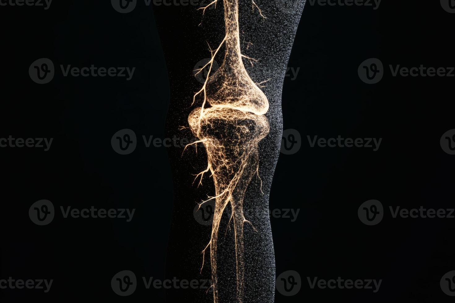 Elegance of the human knee joint illuminated artistically. photo
