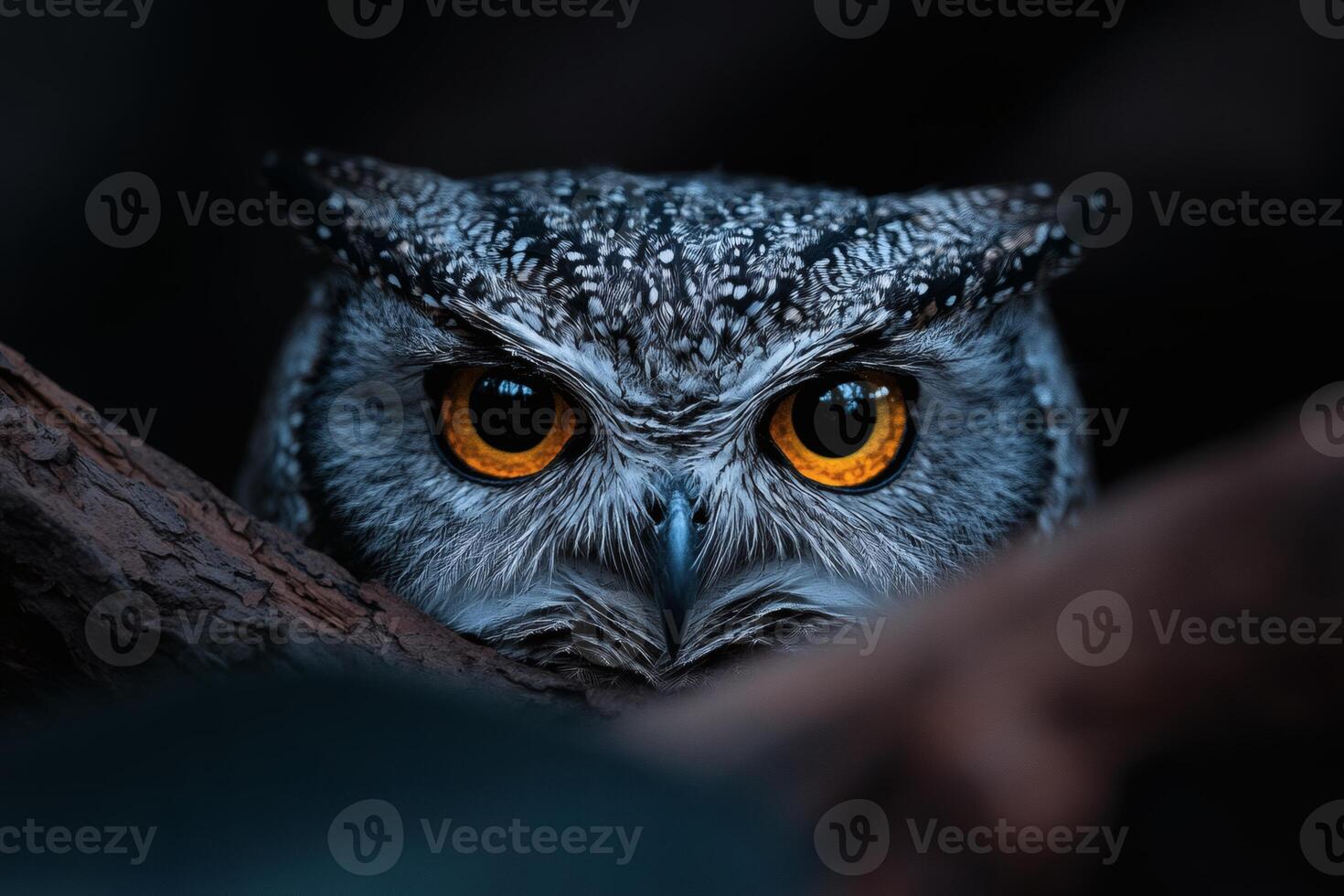 Majestic owl gazing from the shadows. photo