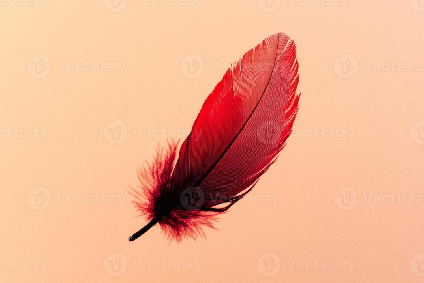 Vibrant red feather dances against a soft peach backdrop. photo