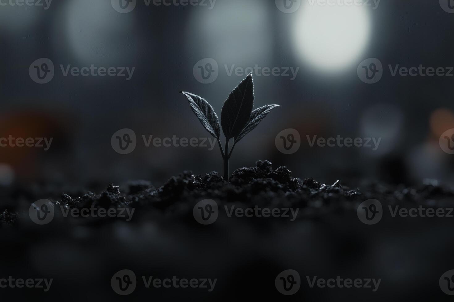 New beginnings sprout in darkness under soft moonlight in a tranquil garden. photo