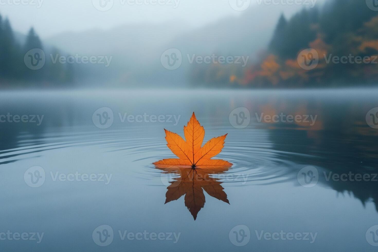 Floating orange leaf serenely ripples on tranquil lake at dawn. photo