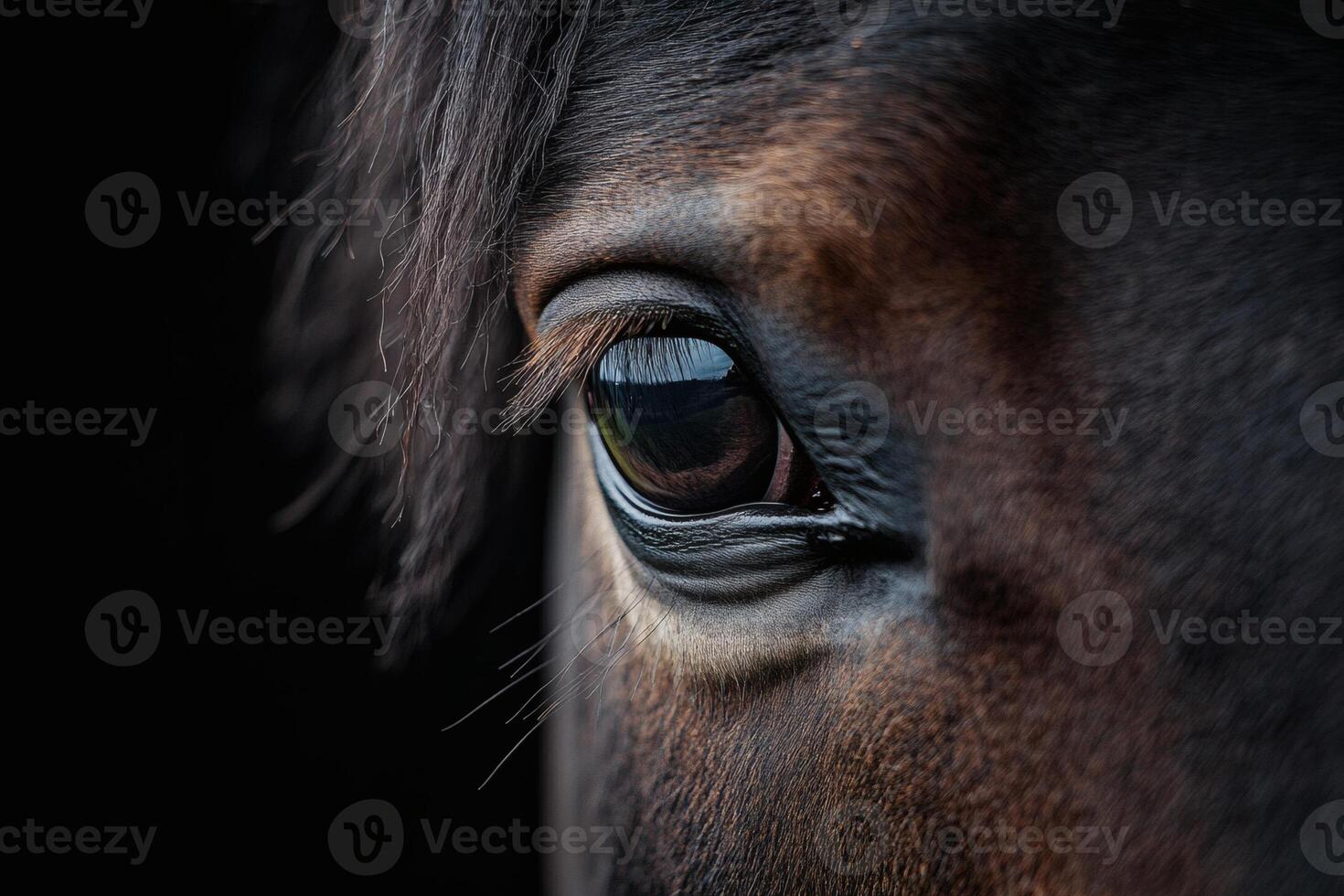 Captivating gaze of a horse in twilight light photo