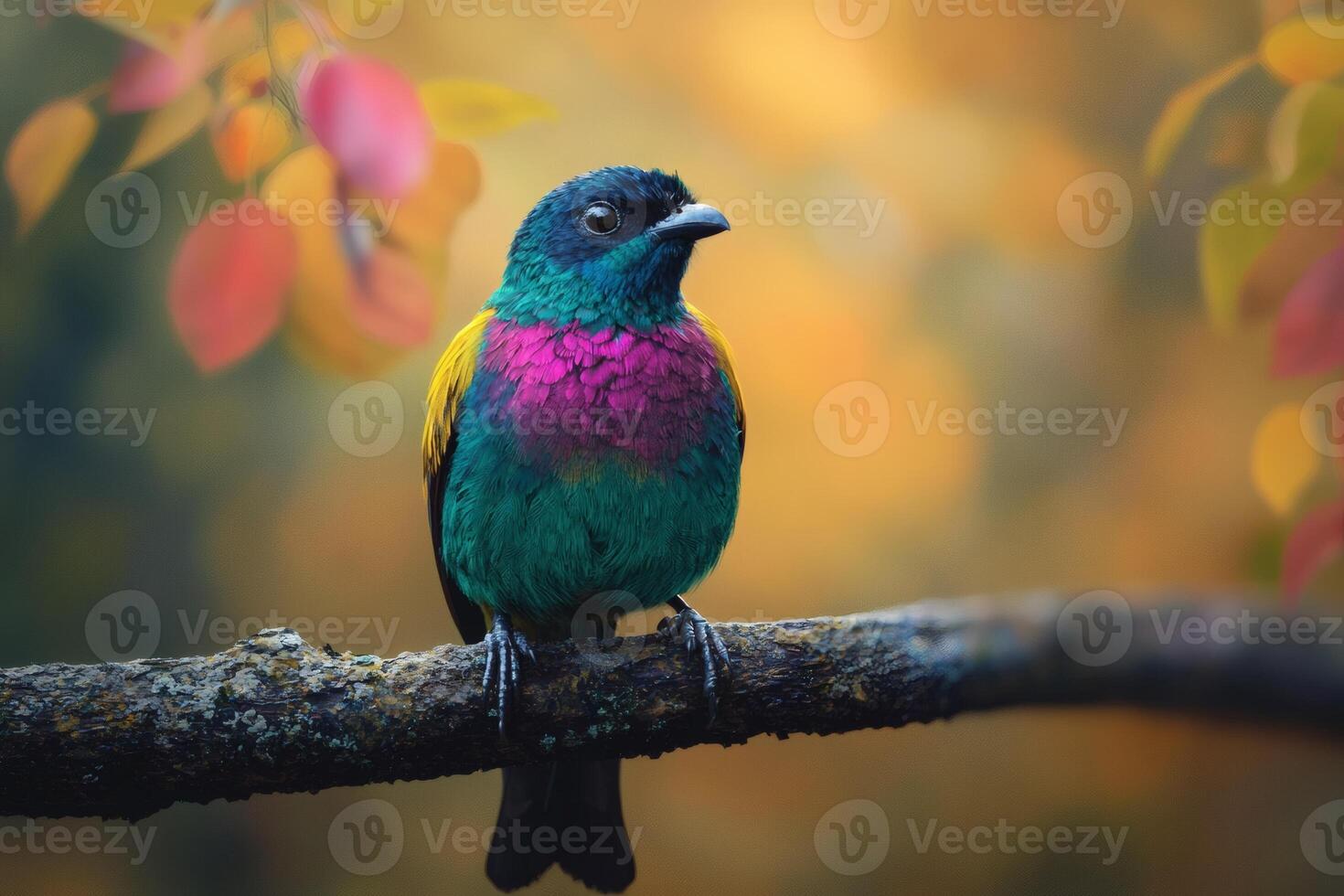 Colorful bird perched on a branch in nature photo