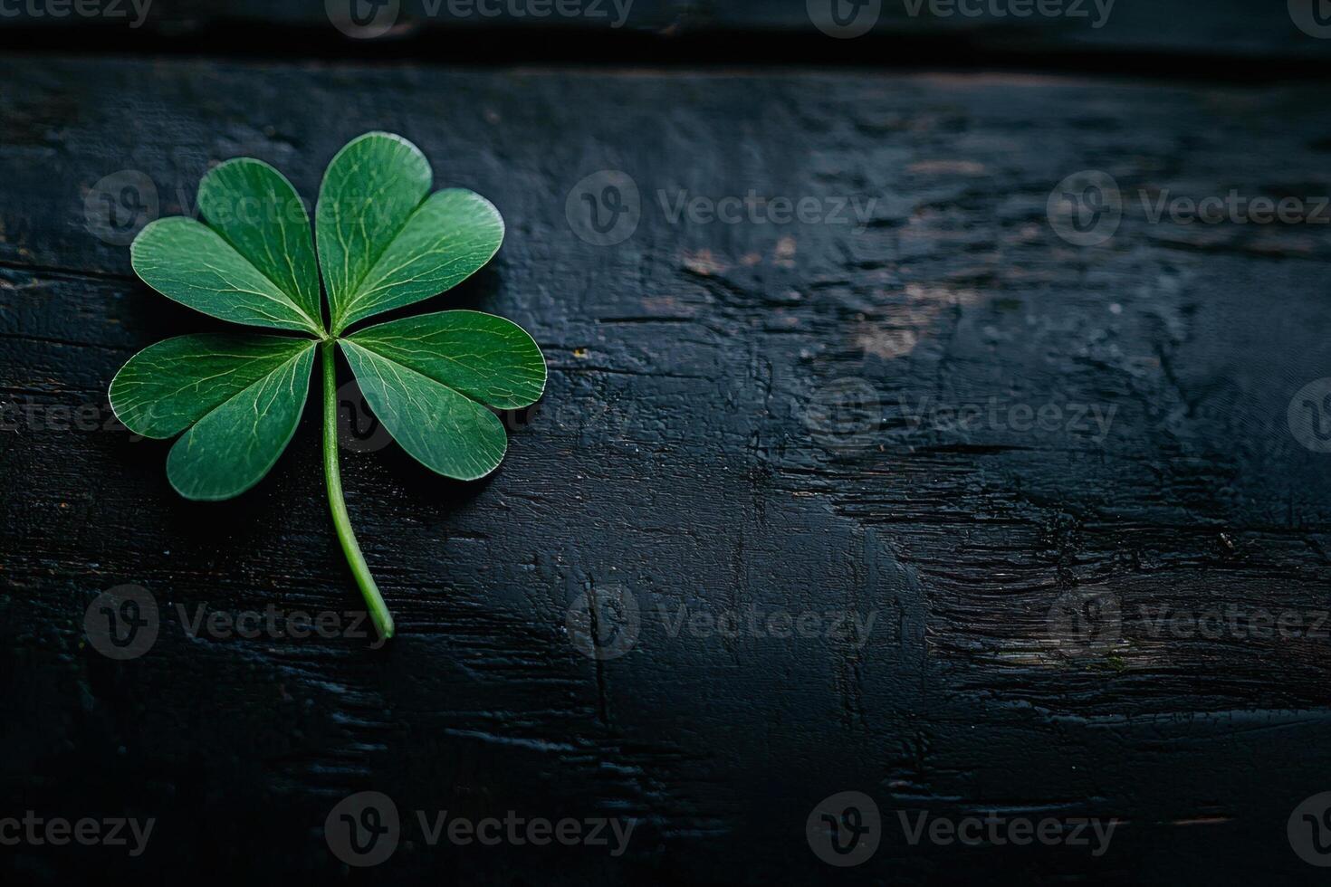 Green clover resting on rustic wooden surface photo
