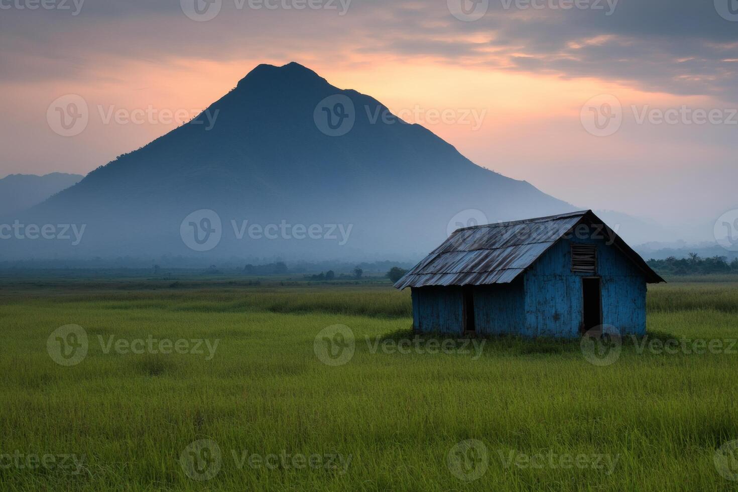 Rustic farmhouse stands in golden rice fields photo