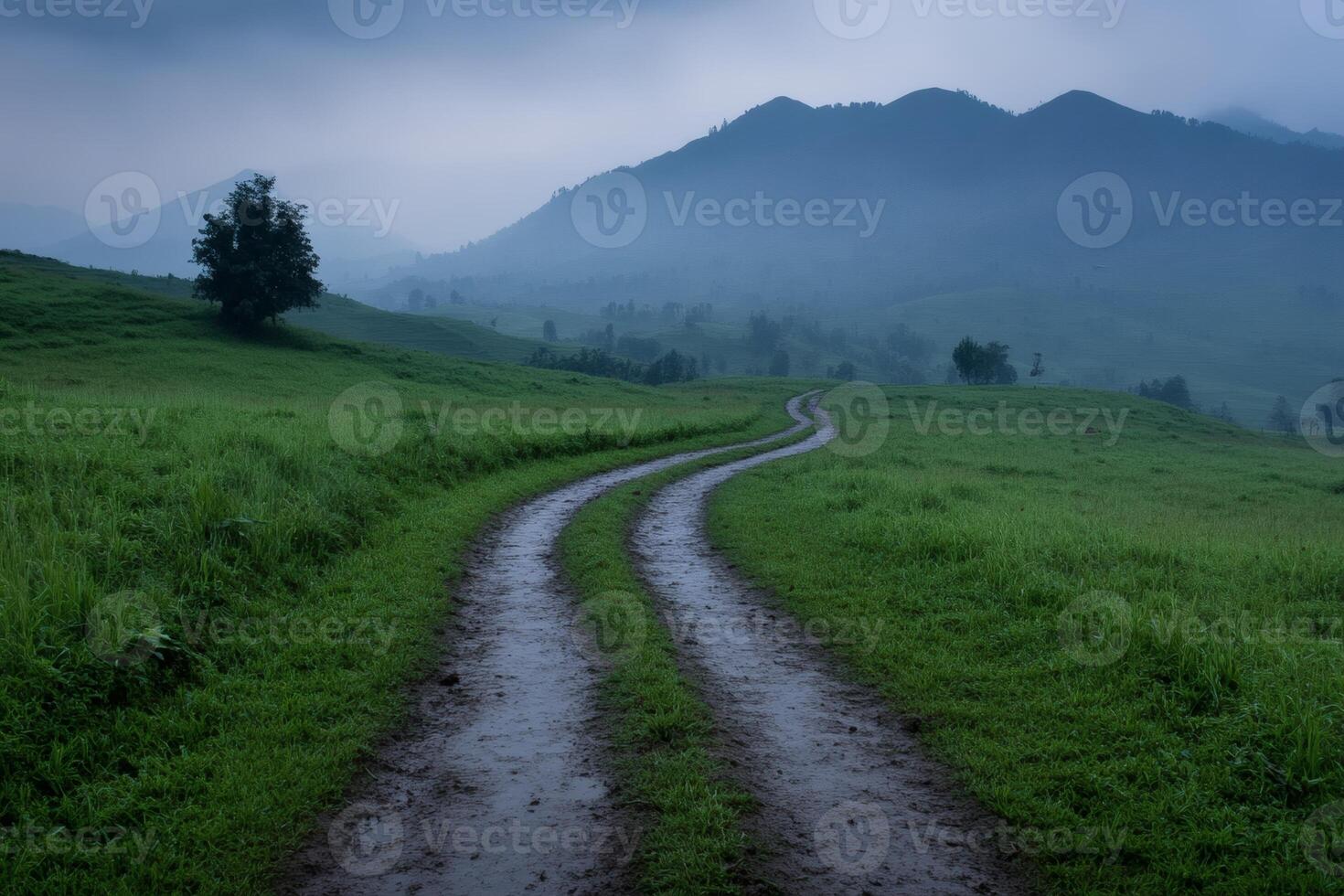 Winding path through misty green hills photo