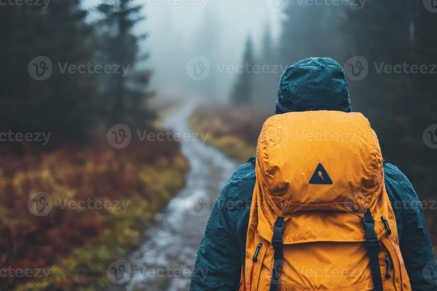 Exploring a misty forest trail on a rainy day photo