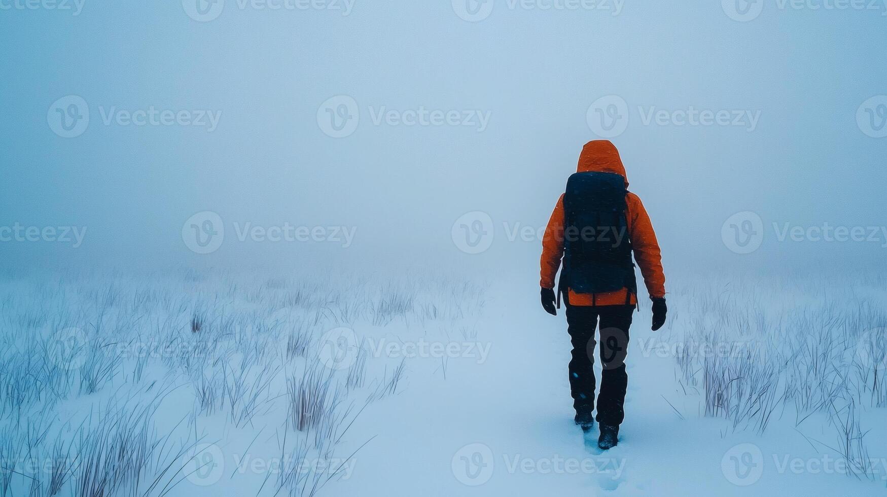 Exploring a snowy landscape in the fog photo