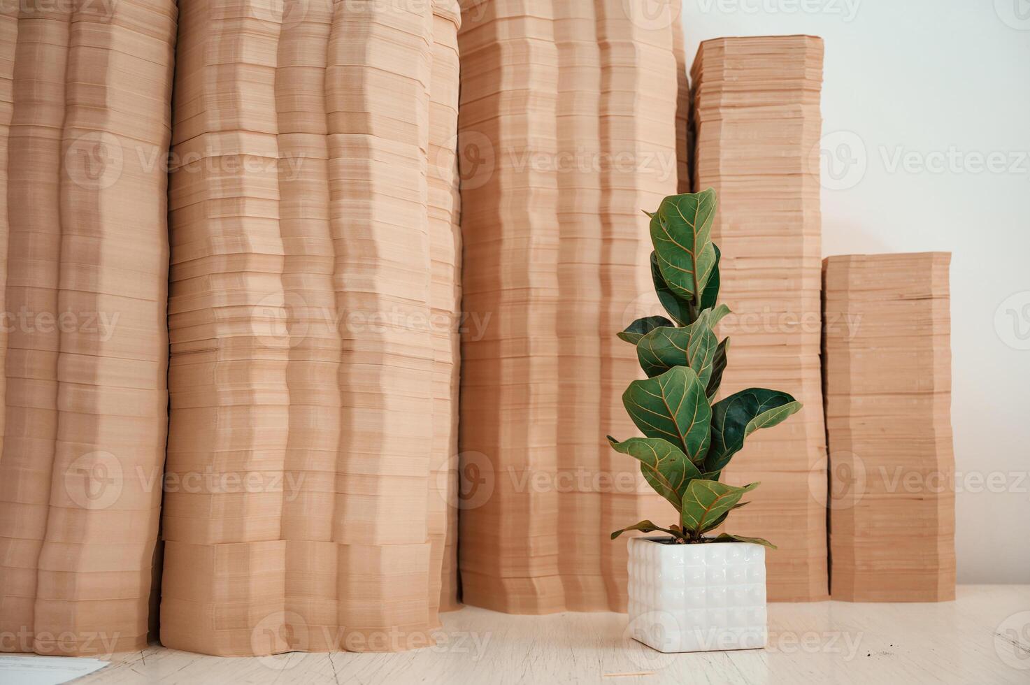 Many ,sheets in the printing house. A ficus plant in a pot opposite the objects photo