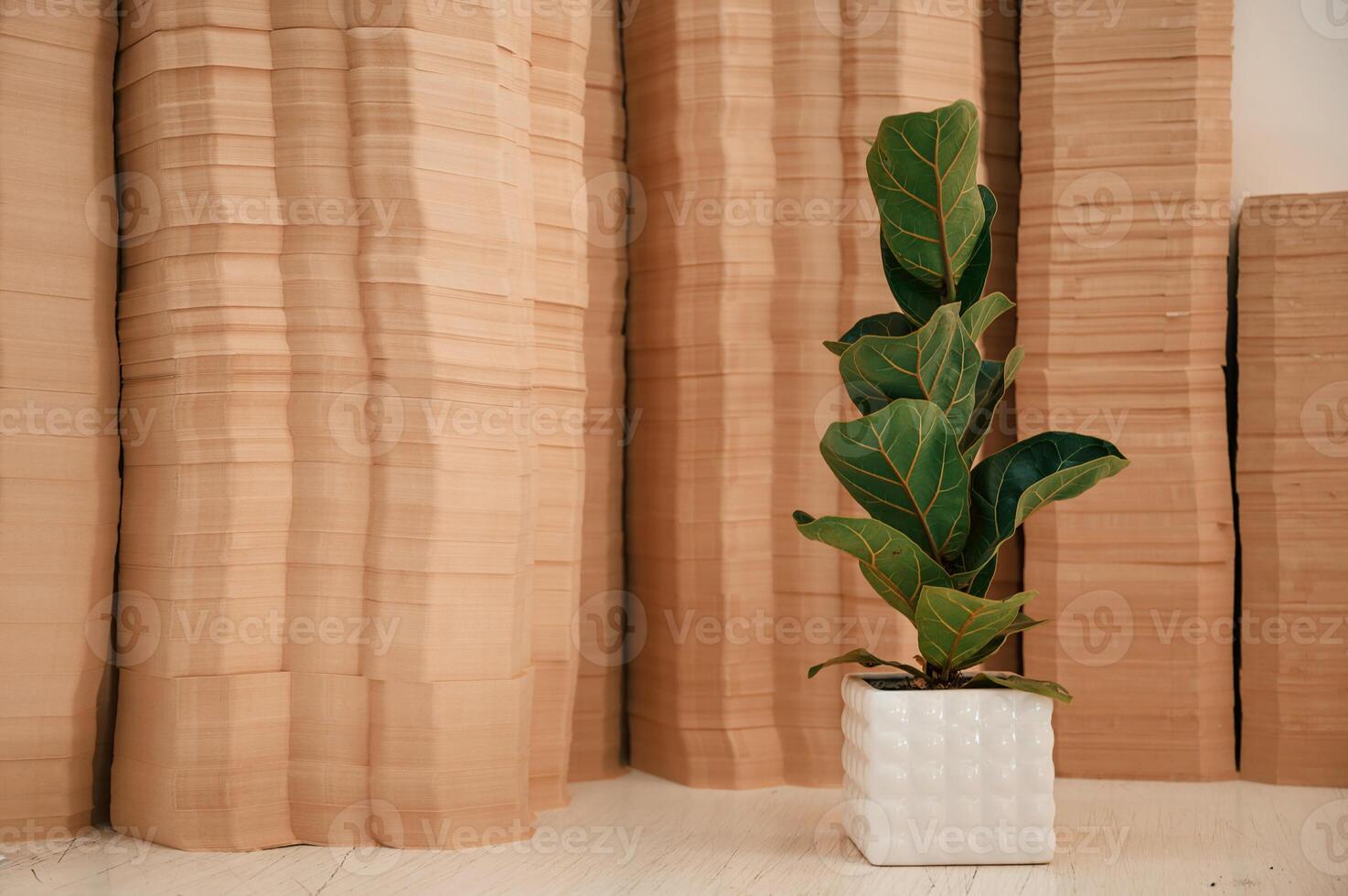 Many sheets ,in the printing house. A ficus plant in a pot opposite the objects photo