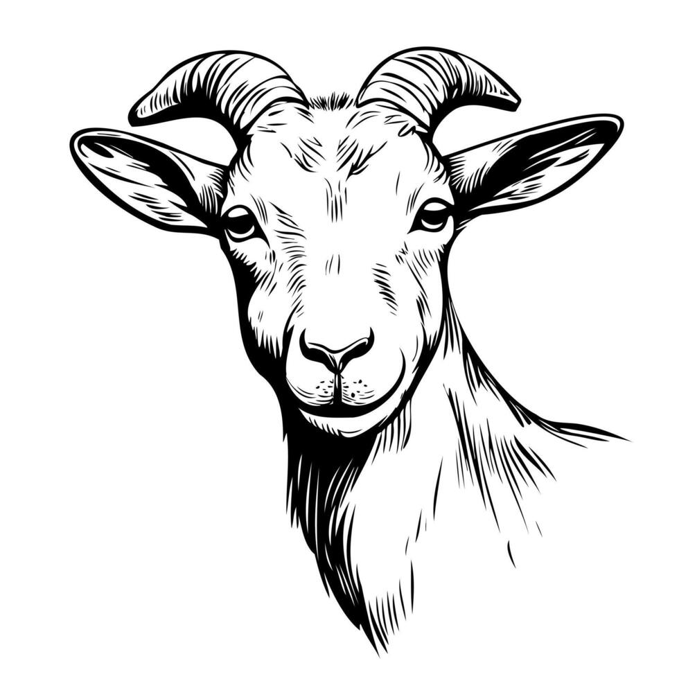 Stylized black and white goat illustration for nature and farm design projects. Graphic art vector