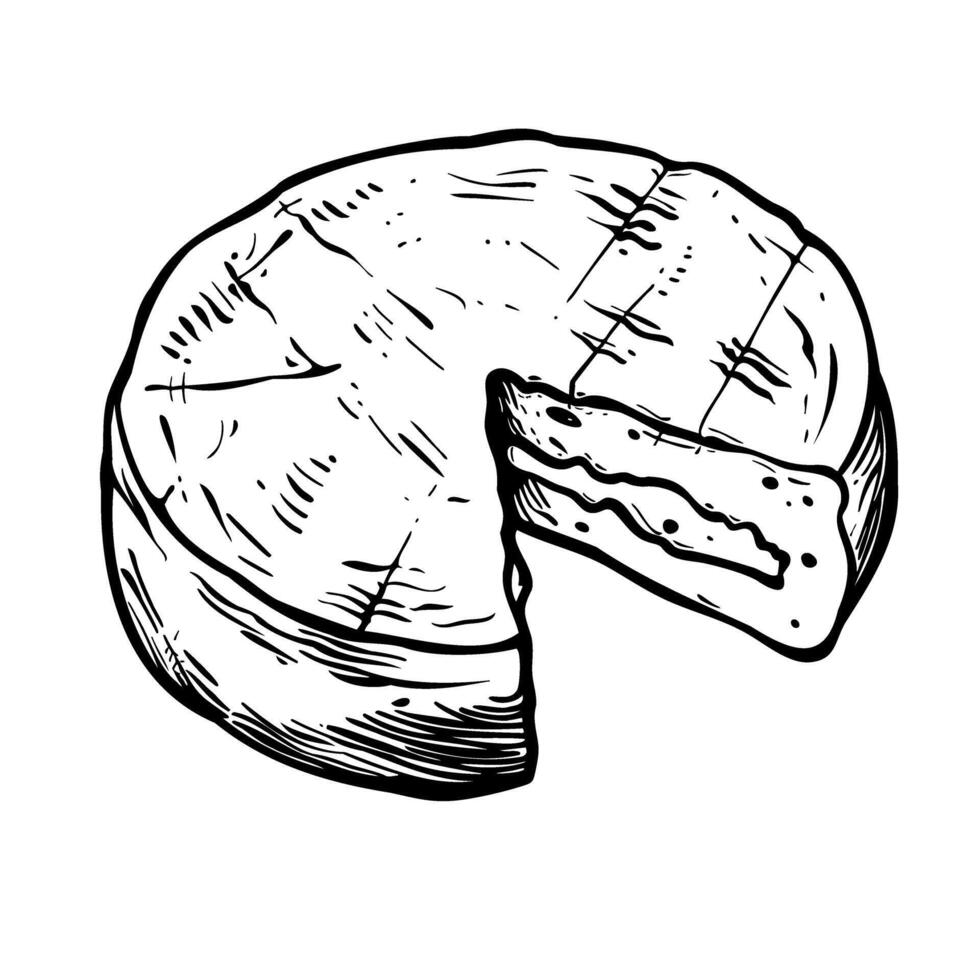 Celebrate world cheese day with a delicious wheel of cheese. Brie cheese. Black and white illustration vector