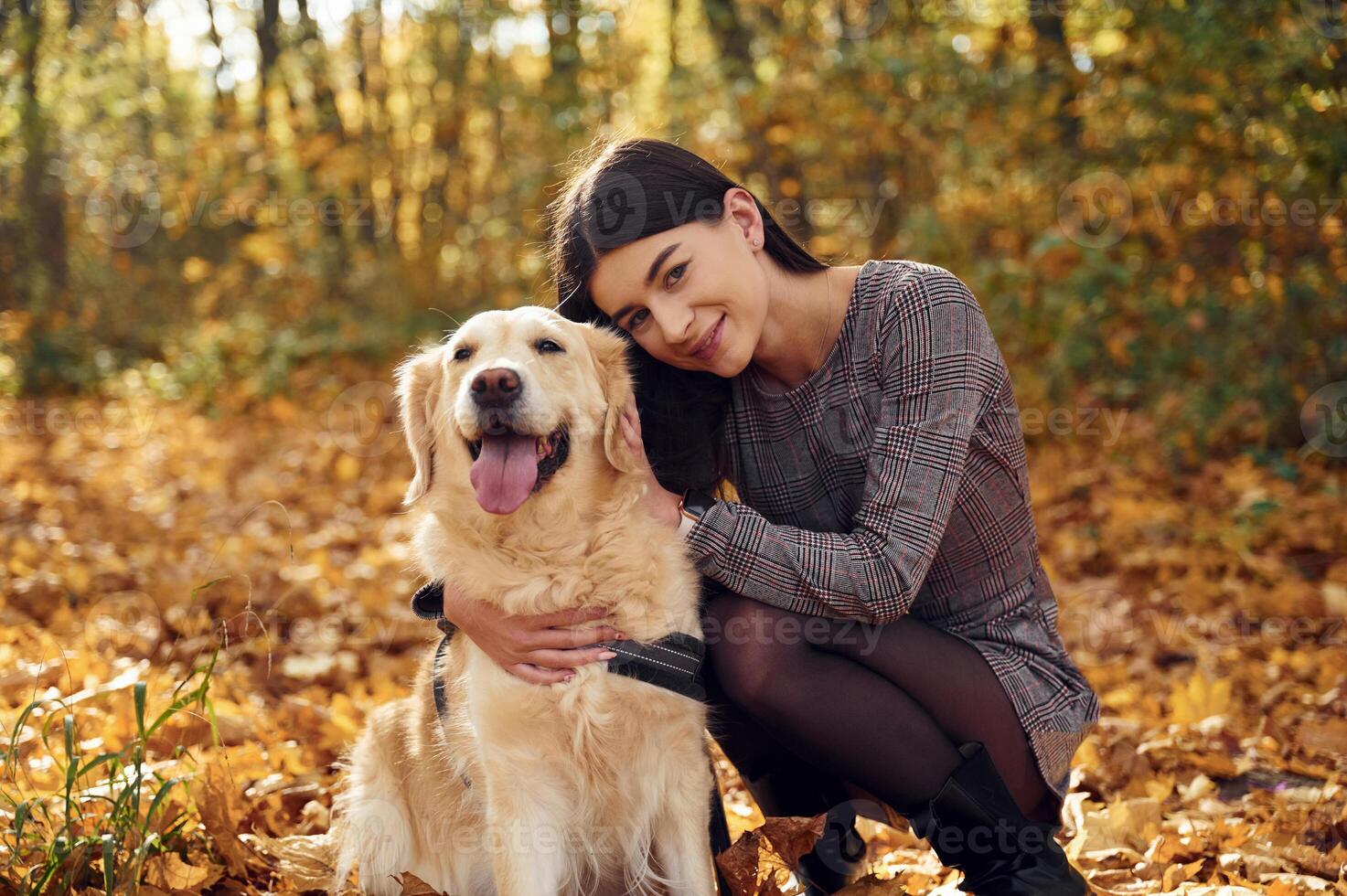 Sitting ,and smiling. Woman, is on the walk with her dog in the autumn forest at daytime photo