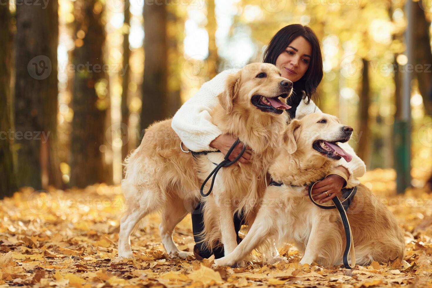 Woman on ,the walk with her two dogs in the autumn forest photo