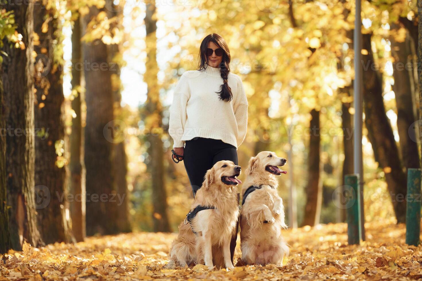 In black sunglasses.. Woman on the walk with her two dogs in the autumn forest photo