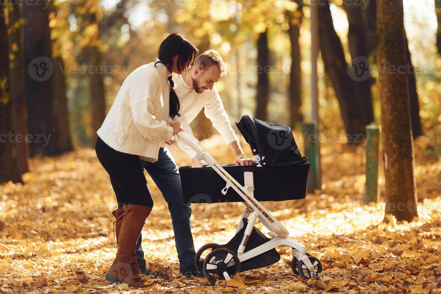 Beautiful, parents is in the forest with pram having a walk photo