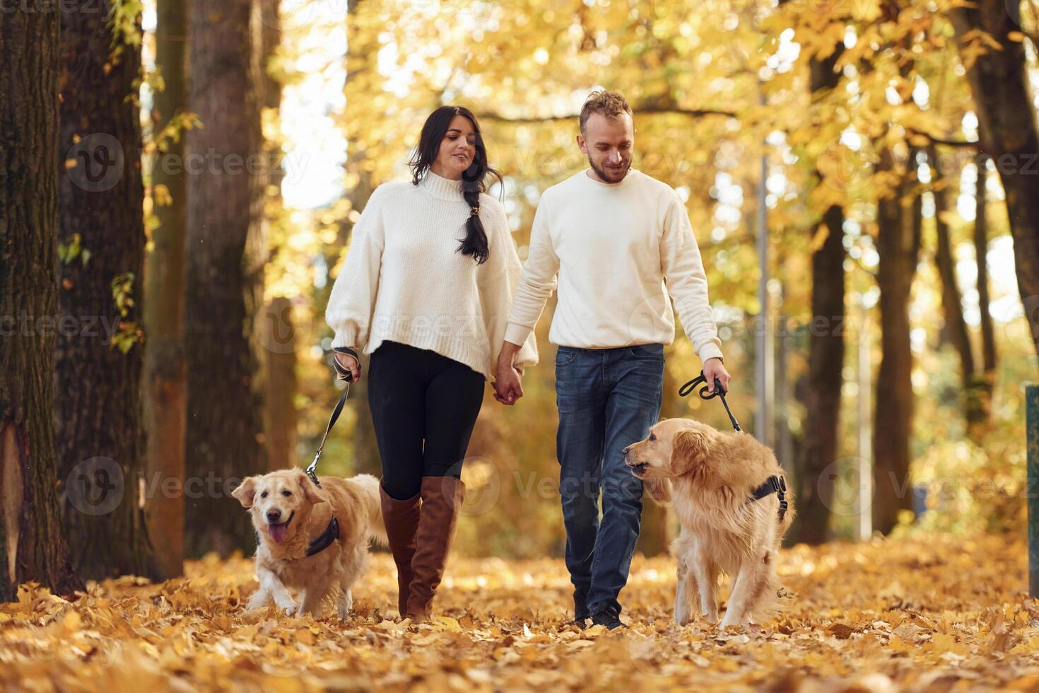 Front view. .Lovely couple are on the walk in autumn park with two dogs photo