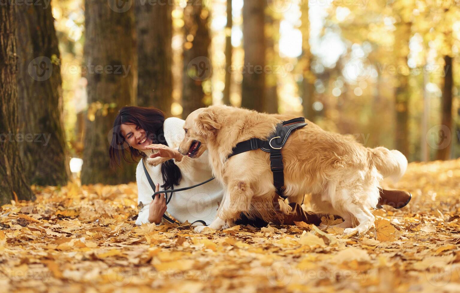 Smiling and ,playing. Woman on the walk with her two dogs in the autumn forest photo