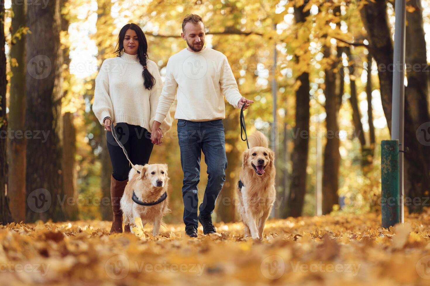 Lovely couple are on the walk in autumn park, with two dogs photo