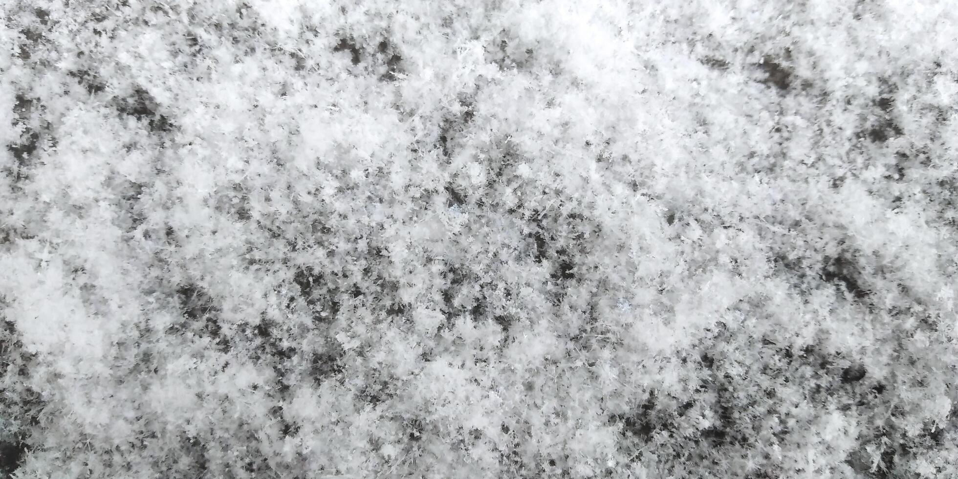 Snowflakes on the winter surface photo