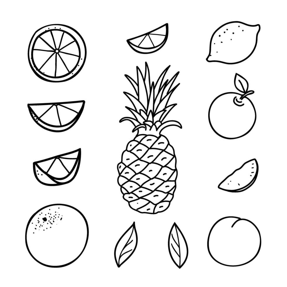 Fruits Set. Lemon, Orange, Pineapple, Apple and Peach. Hand drawn doodle elements of whole Fruits and Cut Slices. Black and White line art isolated on a white background. For product packaging vector