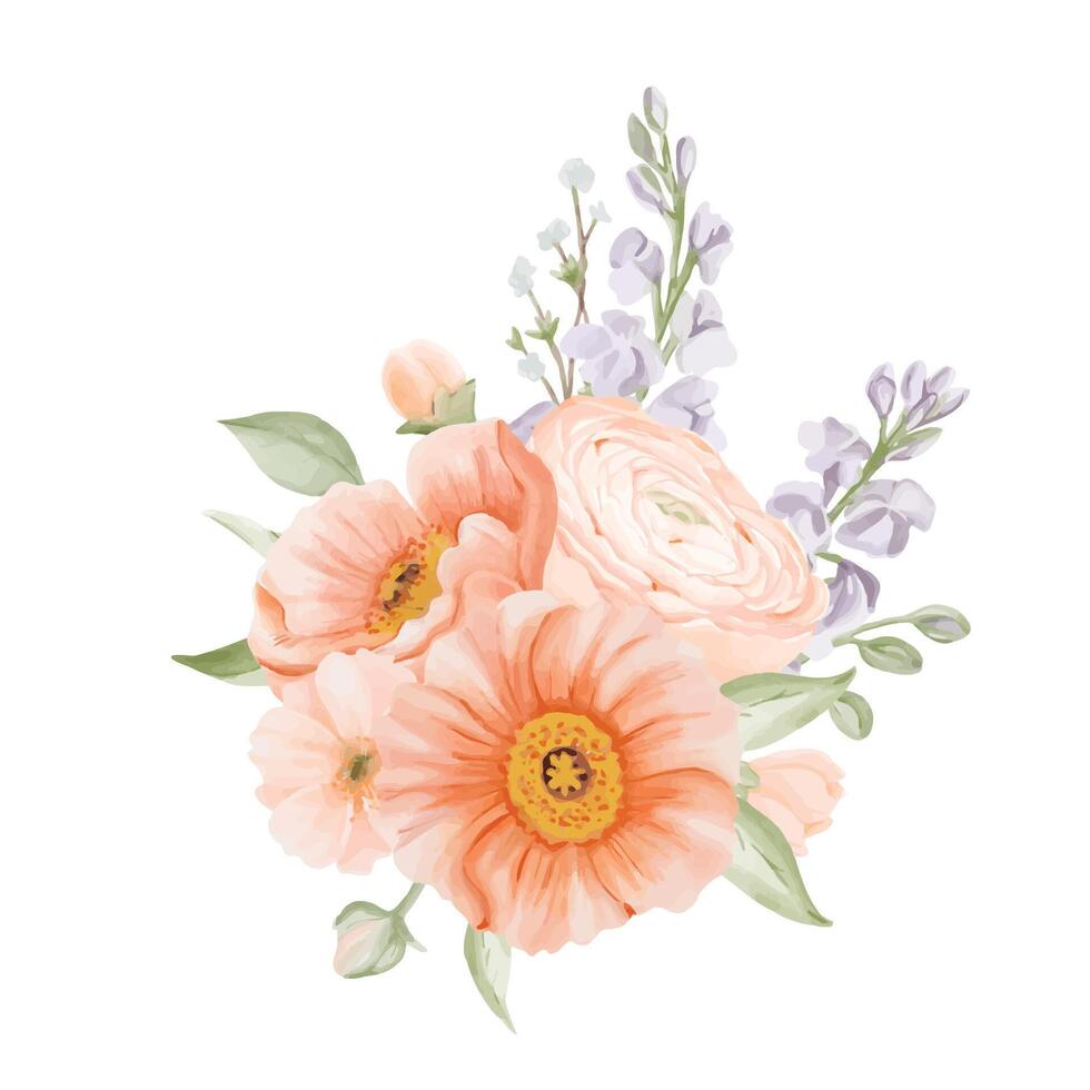 Spring Flowers Bouquet from Ranunculus and Iceland Poppies with Freesia, Peach or Cherry and Snow Willow Branches. Watercolor hand painted botanical illustration in pastel colors isolated on a white vector