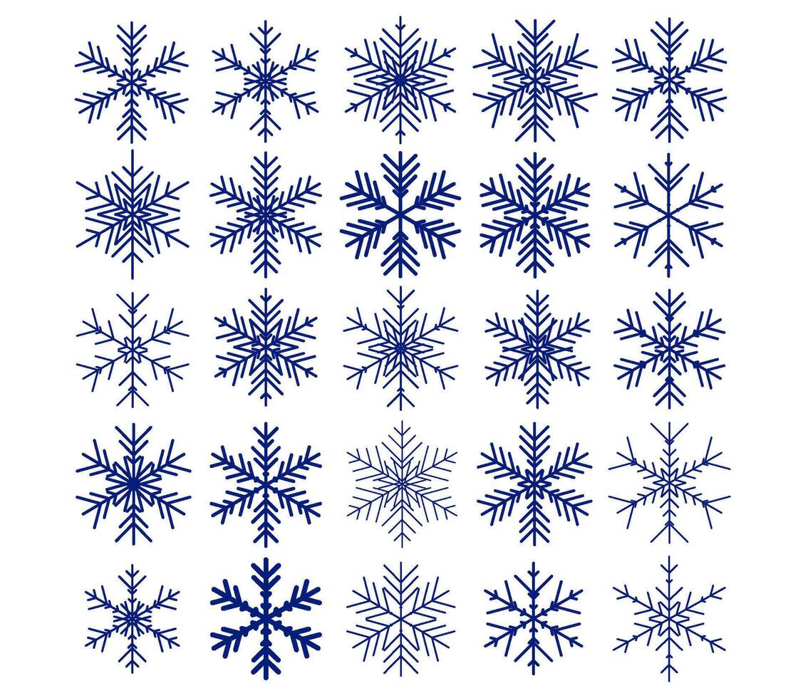set of different snowflakes vector