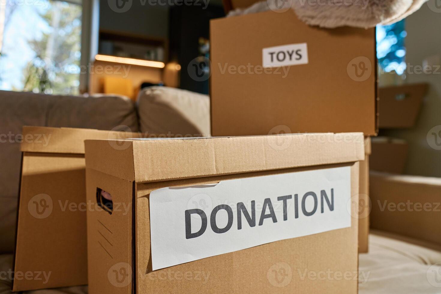 Packed cardboard boxes for donation in living room photo