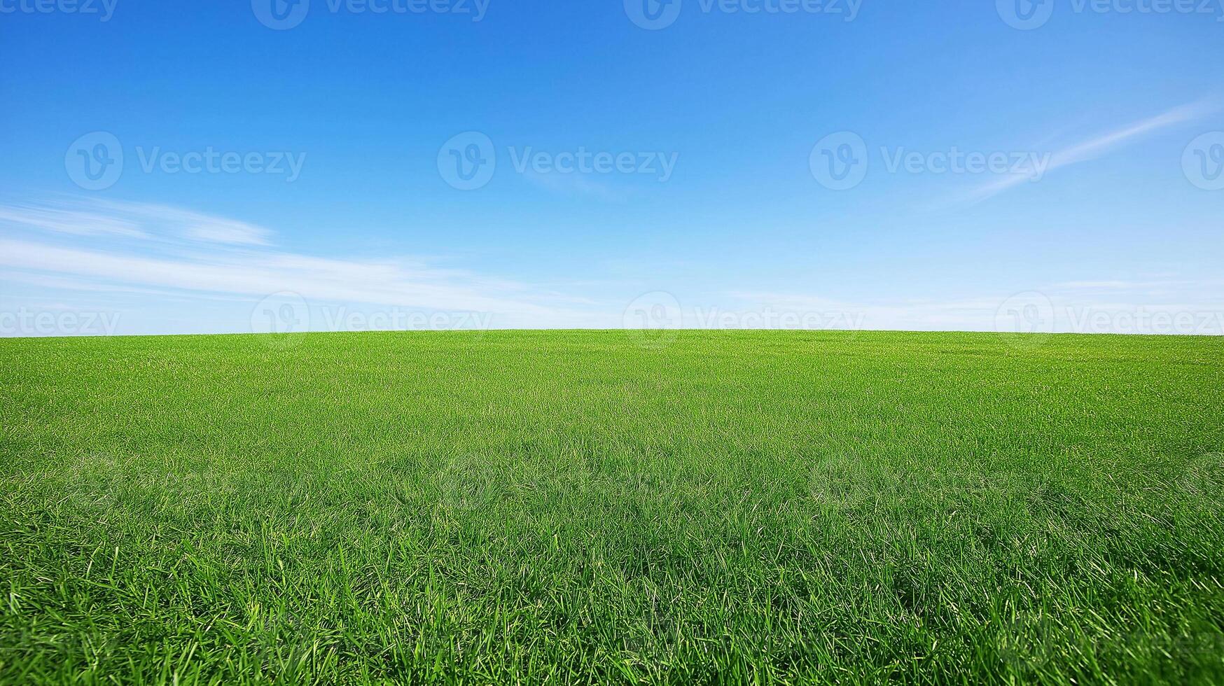 Green grass field with blue sky. Carbon footprint concept photo