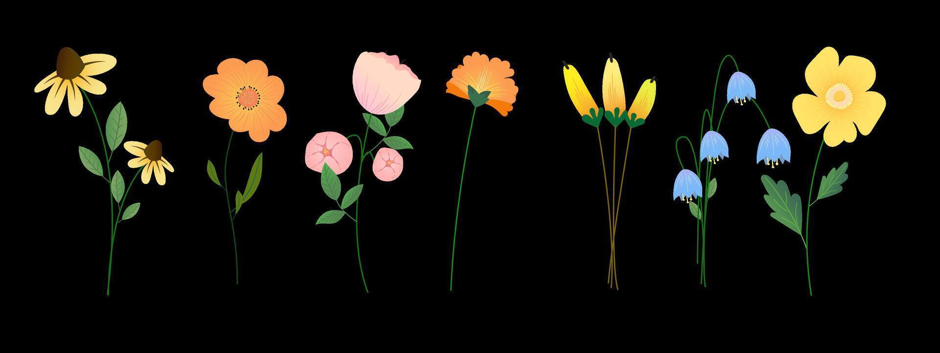 Collection of spring colorful flower elements . Set floral of wildflower, leaf branch, foliage on white background. Hand drawn blossom illustration for decor, easter, sticker, clipart, print. vector