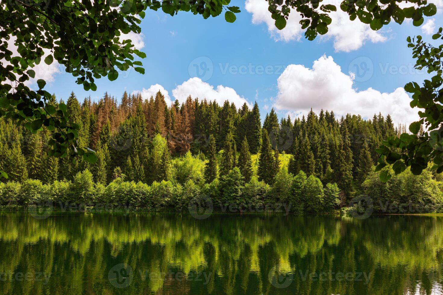 Lake with reflection of the forest in the summer. Karagol Lake in Artvin turkey photo