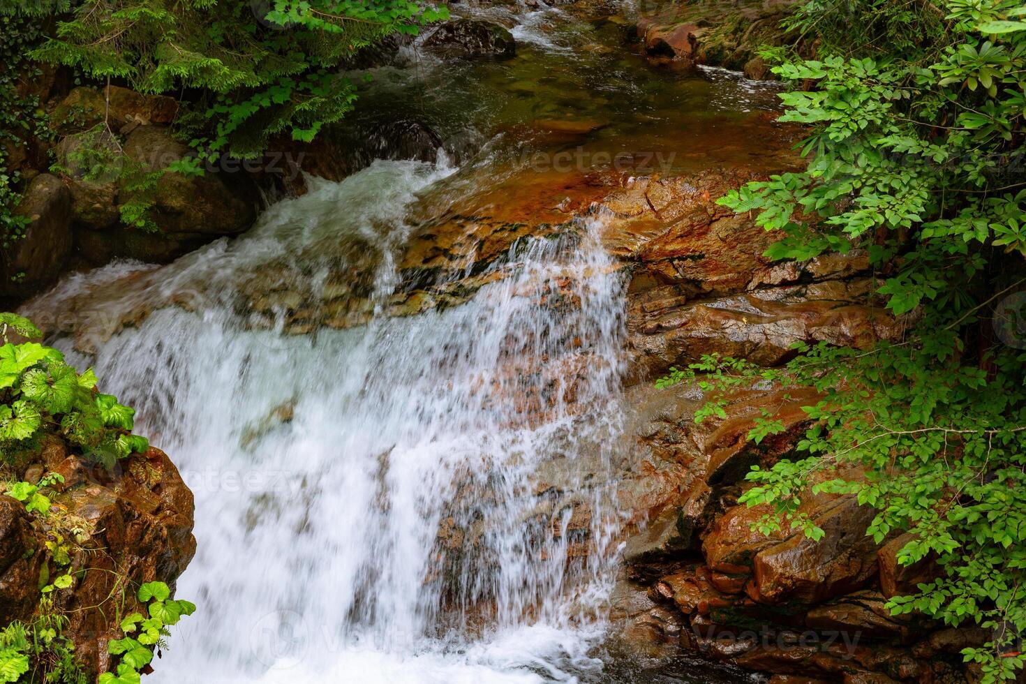 Stream or creek flowing on the rocks in the forest photo