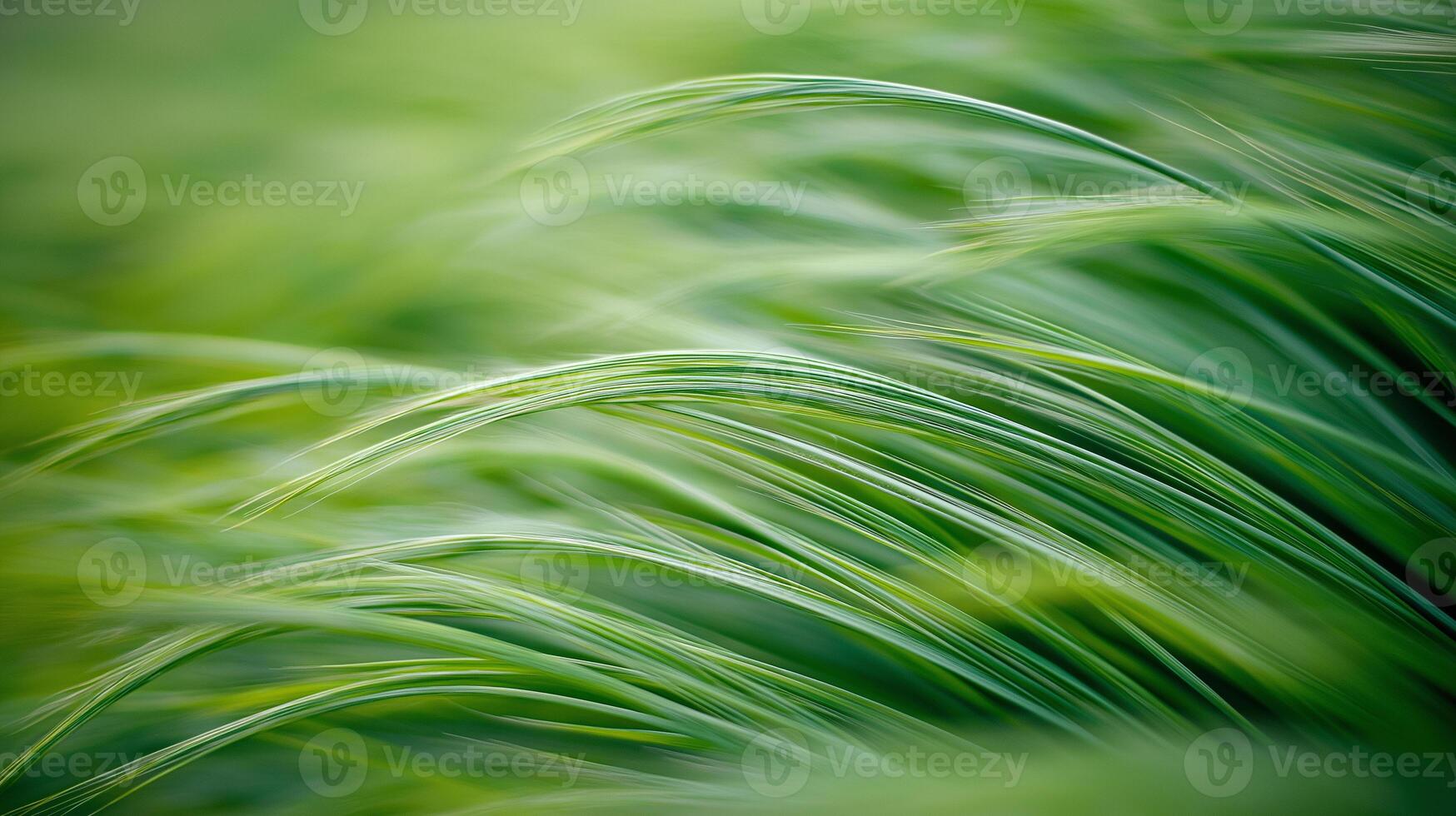 Close up shot of fresh green grasses in focus. Carbon neutrality photo