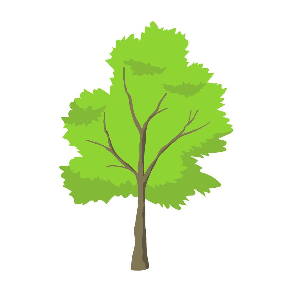 Big tree illustration vector