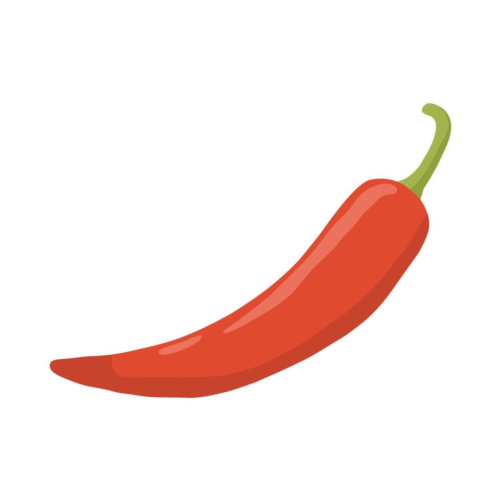 Red chilli pepper illustration vector