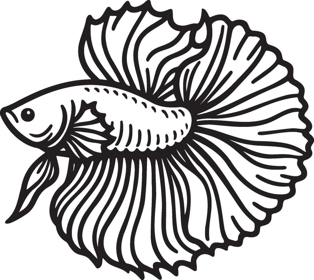 Betta Splendens Fish Line Sketch. vector