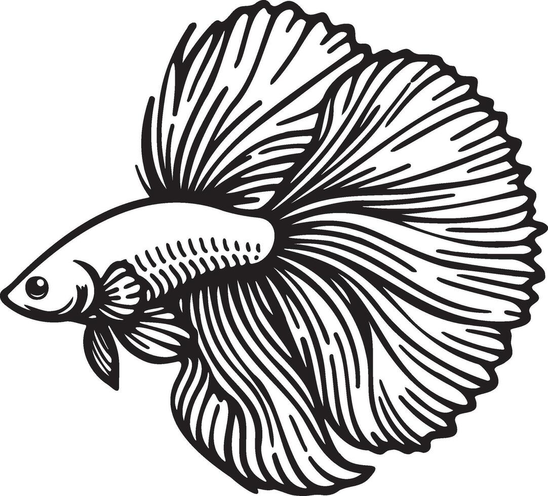 Betta Splendens Fish Line Illustration. vector