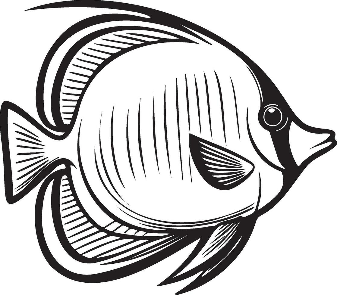 Emperor Angelfish Illustration. vector