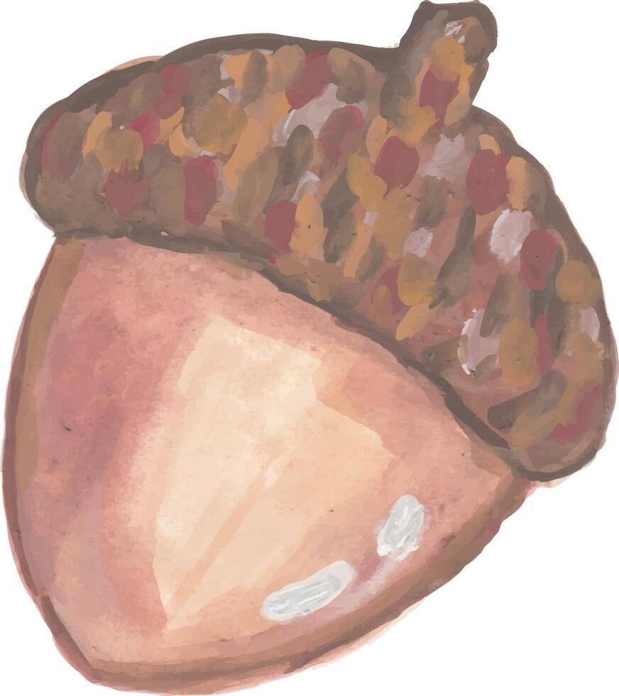 Watercolor painting of an acorn, perfect for autumn and fall themes. vector