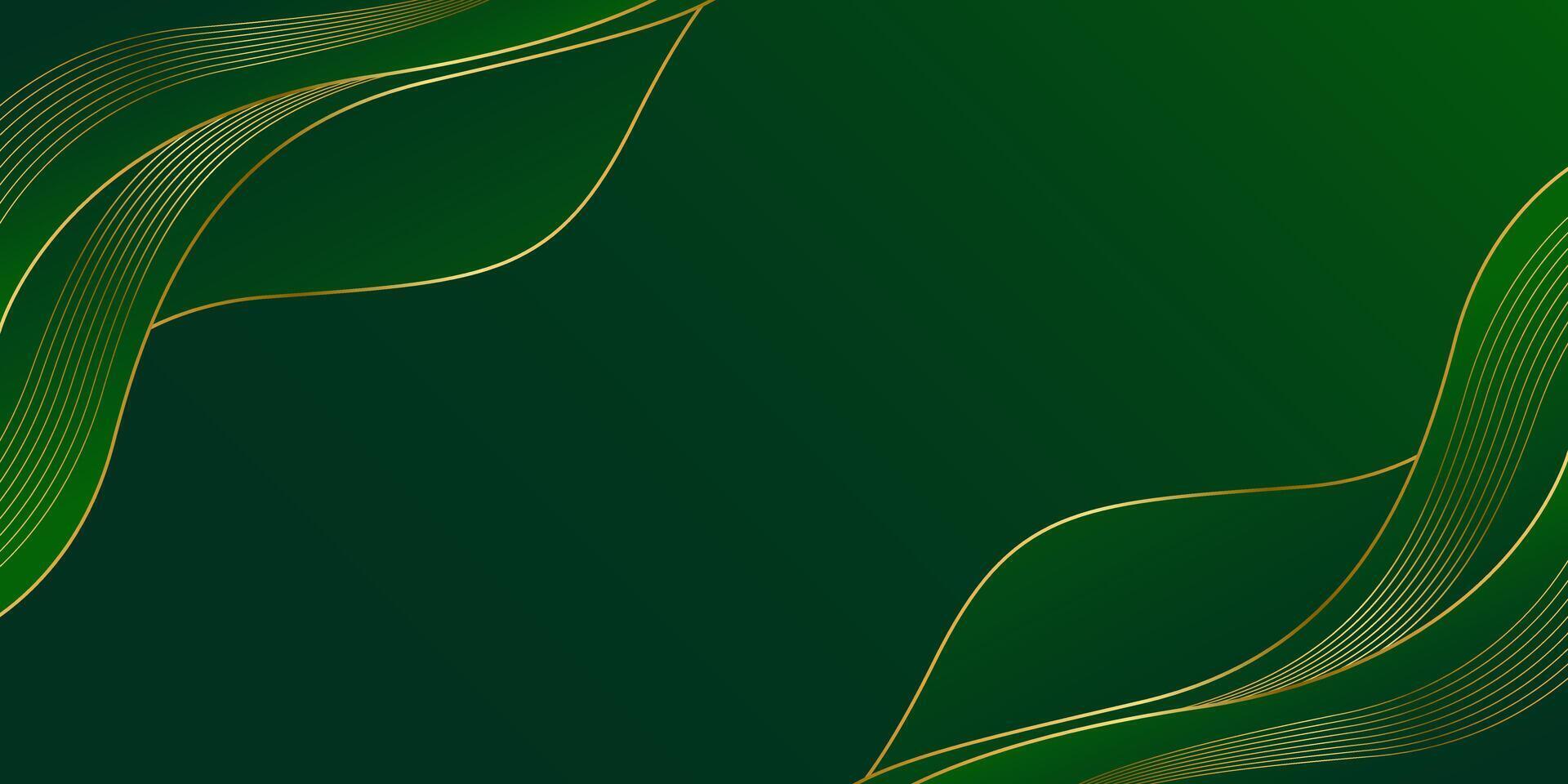 Elegant modern green luxury background with gold lines vector