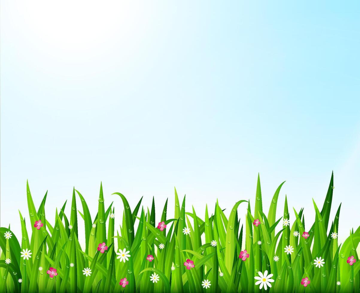 Nature background with green grass and flowers vector