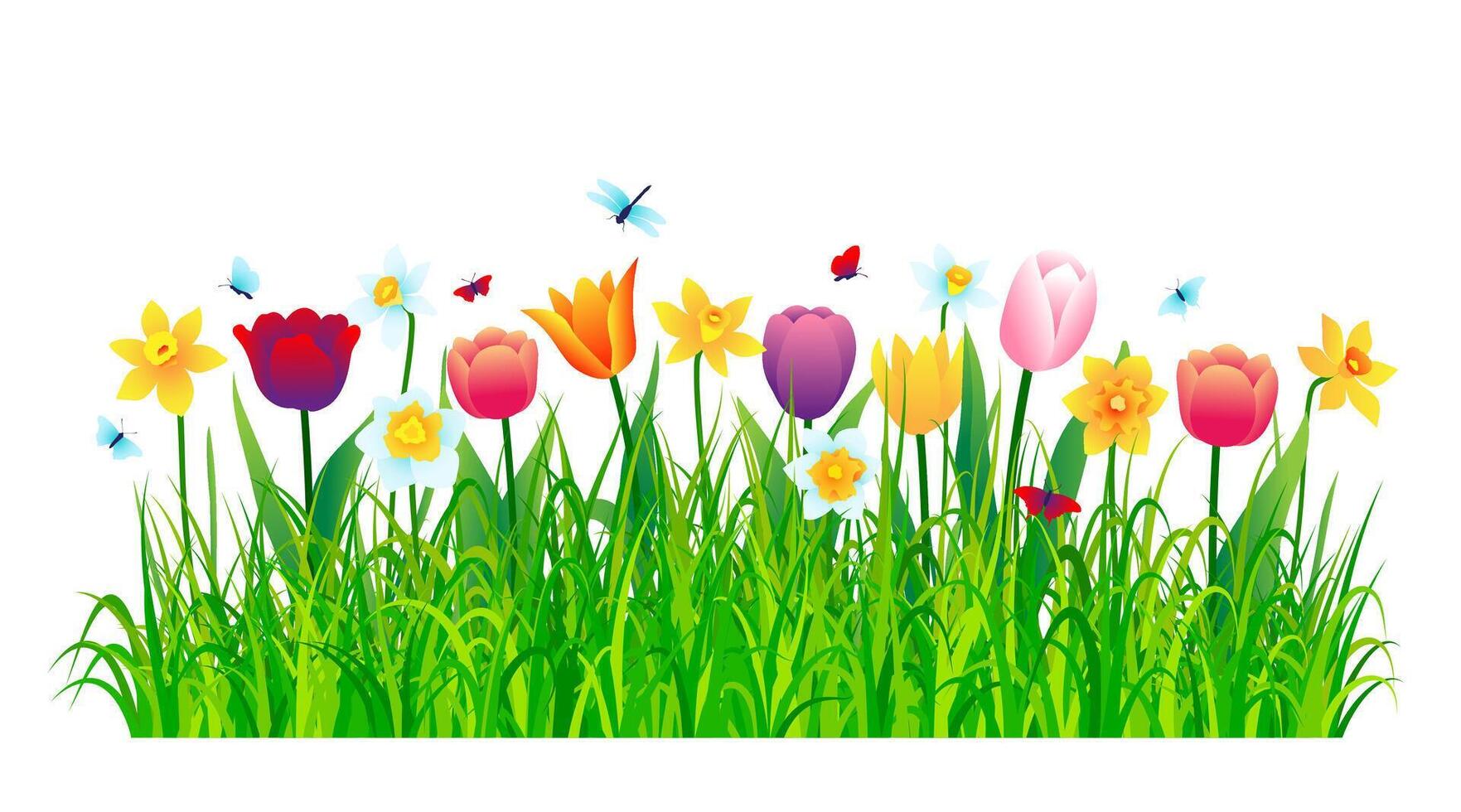 Colorful flowers with green grass isolated on white background vector