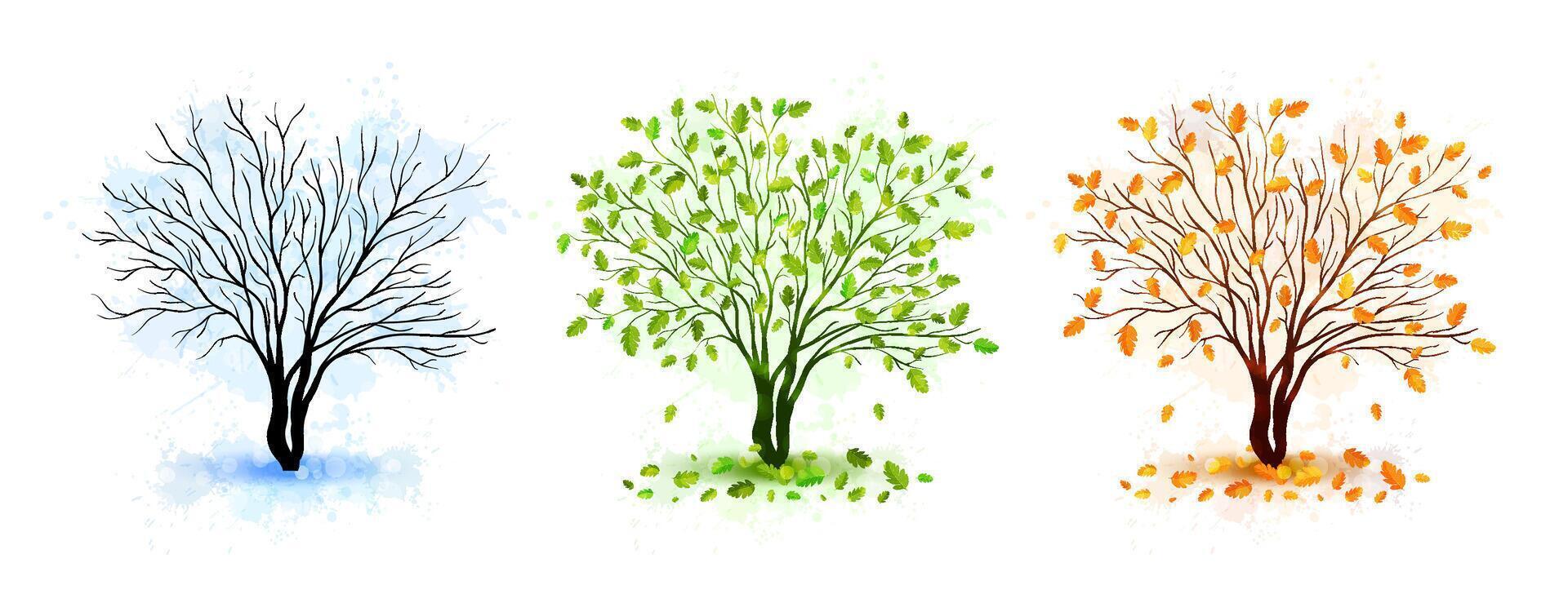 Tree seasons nature background vector