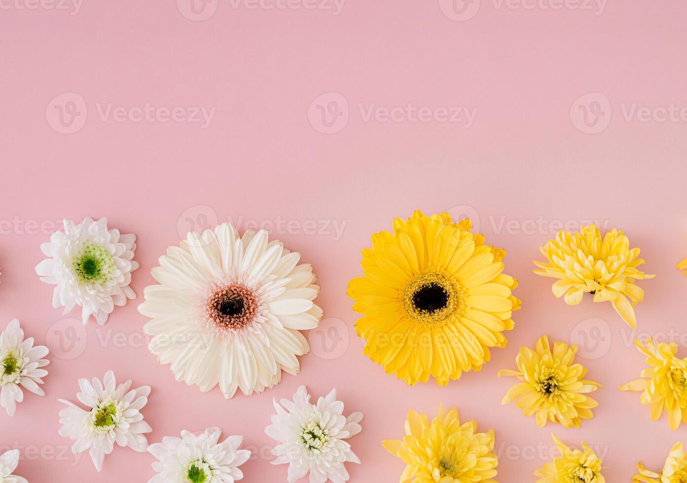 Spring and summer flowers on pastel pink background with copy space. Creative trendy flowers aesthetic concept. Flat lay style. Top view banner. photo